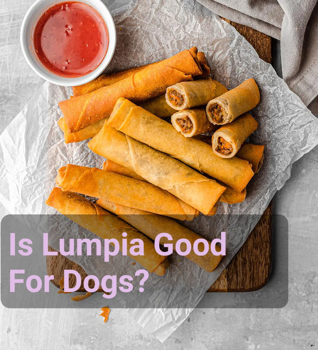 Is Lumpia Good For Dogs?