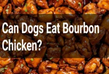 Can Dogs Eat Bourbon Chicken?