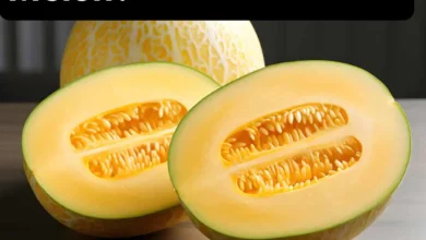 Can Dogs Eat Korean Melon?