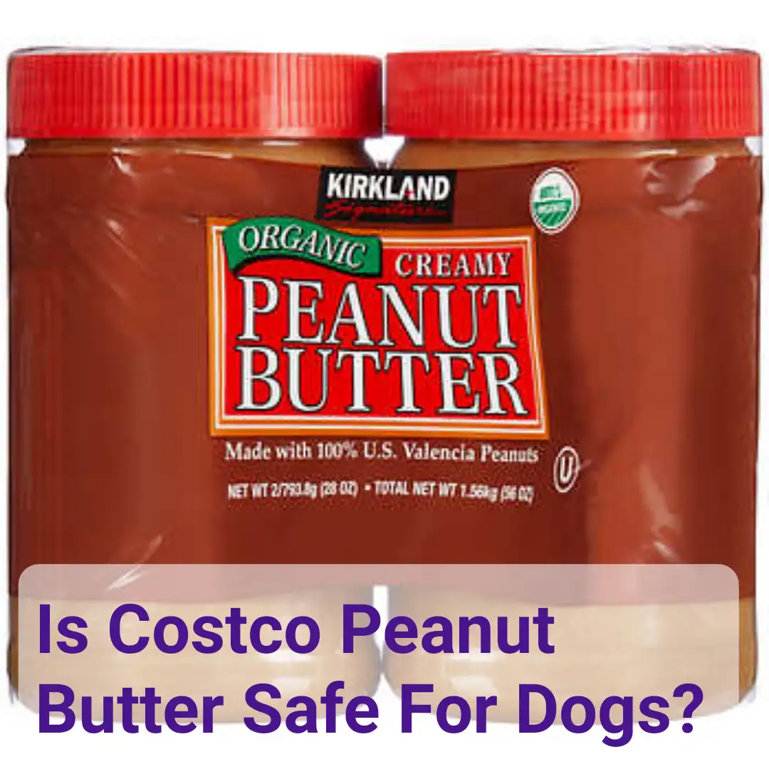 Is Costco Peanut Butter Safe For Dogs