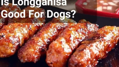 Is Longganisa Good For Dogs?