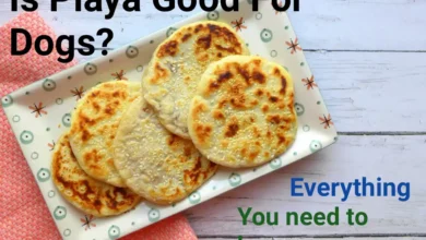 Is Piaya Good For Dogs?